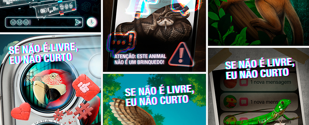 Instituto Brasileiro do Meio Ambiente e dos Recursos Naturais Renováveis (Ibama)